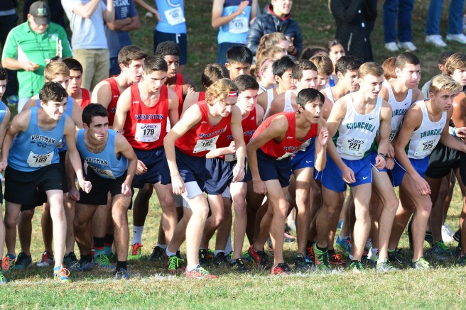 Excerpt: County Champs!